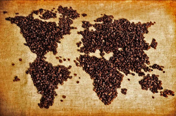 Buy Gourmet Coffee Beans Online